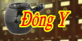 dong y